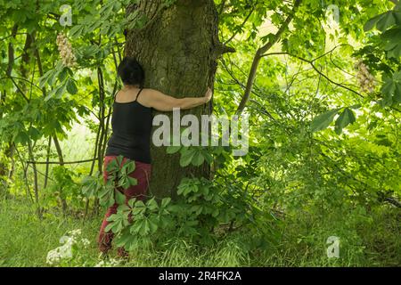 Eine Frau umarmt einen Baum Stockfoto