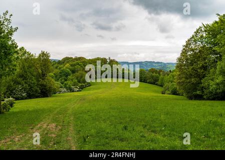 Frühlingsgalle Karpaty-Gebirge auf dem kanurhügel an der tschechisch-slowakischen Grenze mit Wiesen, Wanderwegen, Bäumen und Hügeln im Hintergrund Stockfoto