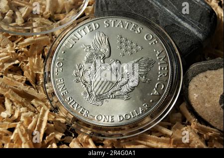 US-Anlageinvestition Silbermünze 1 Dollar. Reine Silbermünze. Stockfoto