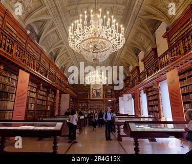 Bibliothek in Pinacoteca di Brera (Kunstgalerie von Brera), Stadtteil Brera, Stadt Mailand, Lombardei, Italien Stockfoto