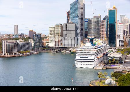 Kreuzfahrtschiff mit Karneval-Pracht am Circular Quay im Hafen von Sydney, Firmenbürogebäude im Stadtzentrum, Stadtbild, Sydney, NSW, Australien Stockfoto
