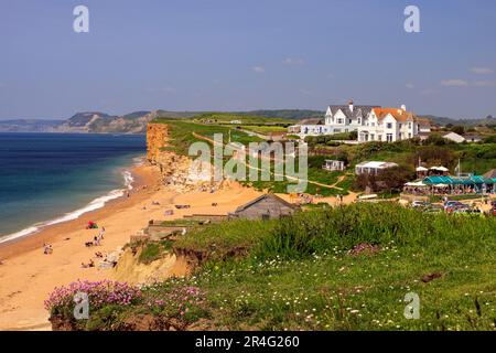 Die dramatischen Sandsteinklippen und das Hive Beach Café im Burton Bradstock sind ein beliebtes Touristenziel an der Jurassic Coast, Dorset, England, Großbritannien Stockfoto