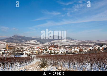 Weinberge im Winter mit Blick auf das Weindorf Birkweiler und Haardtrand, Deutsche Weinstraße oder auch südliche Weinstraße Stockfoto