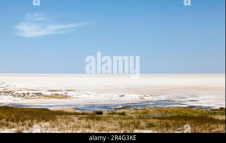 Blick auf die Etosha Pan Stockfoto