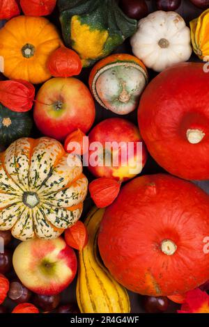 Thanksgiving-Hintergrund - Kürbisse und Äpfel zum Erntedankfest Stockfoto