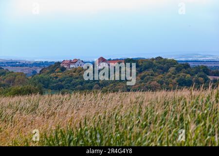 Konradsburg bei Ermsleben im Harz Stockfoto