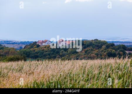 Konradsburg bei Ermsleben im Harz Stockfoto