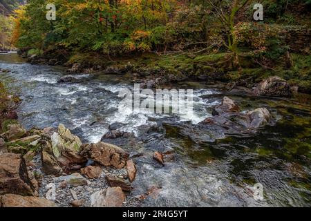 Blick entlang des Flusses Glaslyn im Herbst Stockfoto