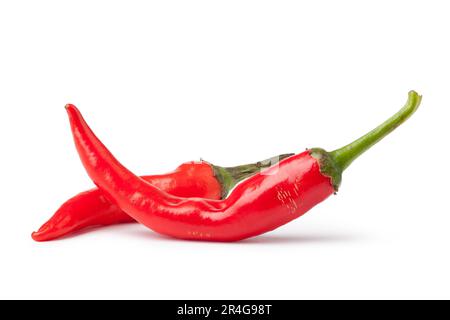 Frische Paprika auf weißem Hintergrund Stockfoto