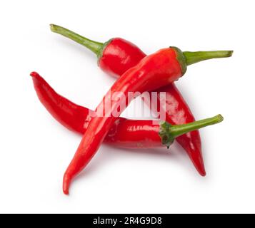 Frische Paprika auf weißem Hintergrund Stockfoto