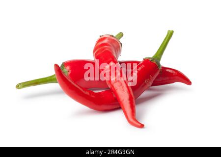 Frische Paprika auf weißem Hintergrund Stockfoto