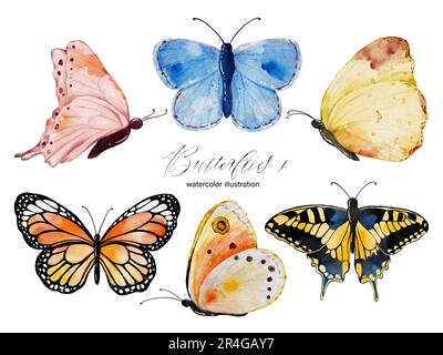 Aquarelle mehrfarbige Schmetterlinge Kollektion, Illustration Schmetterlingselemente isoliert auf weißem Hintergrund. Geeignet zum Dekorieren in Ihrem Design. Stockfoto