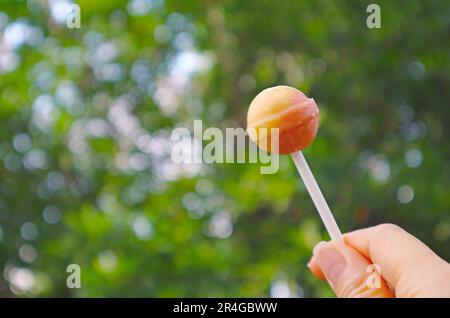 Hand hält eine Orange-Zitronen-Lollipop-Süßigkeiten gegen Green Foliage Stockfoto