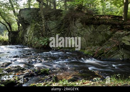 The Selke ein wilder und romantischer Fluss im Harz-Gebirge Stockfoto