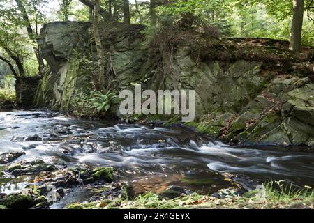 The Selke ein wilder und romantischer Fluss im Harz-Gebirge Stockfoto