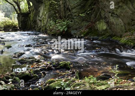 The Selke ein wilder und romantischer Fluss im Harz-Gebirge Stockfoto