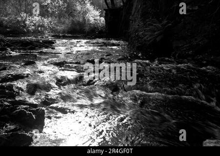 The Selke ein wilder und romantischer Fluss im Harz-Gebirge Stockfoto