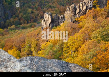 Blick vom Hexentanzplatz in das Bode-Tal Stockfoto