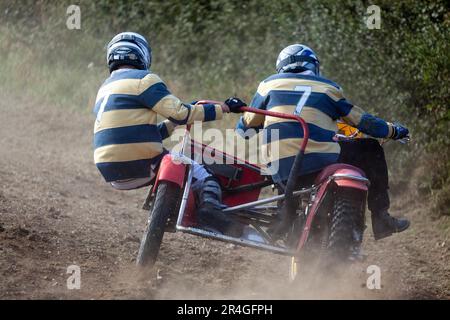 GOODWOOD, WEST SUSSEX/UK - SEPTEMBER 14 : Sidecar Motocross im Goodwood Revival am 14. September 2012. Zwei unidentifizierte Personen Stockfoto