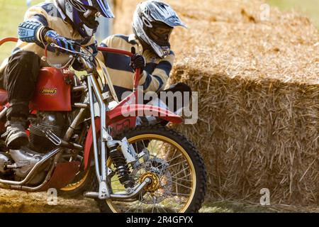 Sidecar Motocross im Goodwood Revival Stockfoto