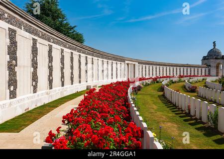 Zonnebeke, Belgien - 8. Juli 2010 : Friedhof Tyne Cot. Großer Commonwealth-Kriegsfriedhof, der größtenteils unbekannte Soldaten aus dem Ersten Weltkrieg enthält. Stockfoto