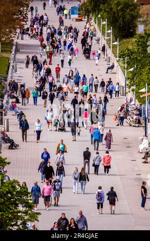 Rostock, Deutschland. 28. Mai 2023. Urlauber und Tagesgäste sind an der Strandpromenade an der Ostseeküste in Warnemünde. Mit viel Sonnenschein und warmen Temperaturen zeigt das Wetter in Norddeutschland seine beste Seite am Pfingstsonntag. Kredit: Jens Büttner/dpa/Alamy Live News Stockfoto