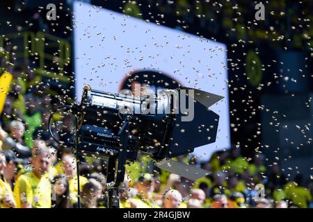 Tierunterstützung vor dem Spiel belagern Bienen den Rand des Spielfelds, Fußball 1. Bundesliga, 34. Spieltag, Borussia Dortmund (DO) - FSV FSV Mainz 05 (MZ) 2: 2, am 27. Mai 2023 in Dortmund/Deutschland. Stockfoto