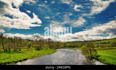 Der Fluss Tweed in der Nähe von Peebles im Grenzbezirk Schottlands Stockfoto