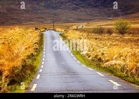 Straße in Richtung Ballaghasheen Pass, County Kerry, Irland Stockfoto
