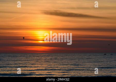 Spektakulärer heller goldener Sonnenuntergang über der Ostsee am Sandstrand Stockfoto