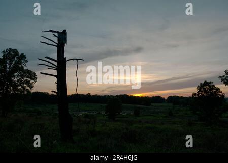 Sonnenuntergang im Gettysburg National Historic Park Stockfoto