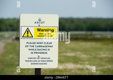 Ascot, Berkshire, Großbritannien. 28. Mai 2023. Ein Paradies für Wildtiere mit langem Gras und wilden Blumen auf der Heide in Ascot mit Blick auf die Ascot Grandstand. Nur noch 22 Tage bis zum Royal Ascot sind die Vorbereitungen auf der Ascot Rennbahn für Royal Ascot im nächsten Monat gut angelaufen. Der Gesamtpreis von Ascot für Royal Ascot in diesem Jahr beläuft sich auf 9.520.000 Pfund. Dies ist das erste Jahr im Royal Ascot seit dem Tod der verstorbenen Königin Elizabeth II Kredit: Maureen McLean/Alamy Live News Stockfoto