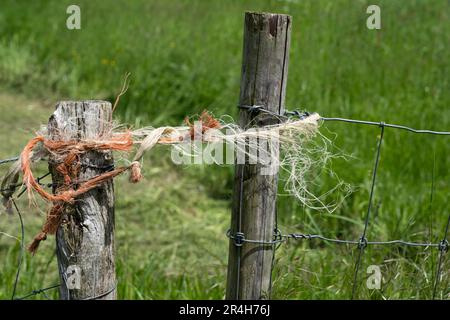 Drahtzäune auf einer Weide mit zwei verwitterten Holzpfosten, die an den Enden durch ein Seil zusammengehalten werden. Sieht nicht so robust aus Stockfoto