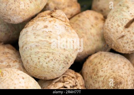 Knollensellerie (Apium graveolens), auch als Selleriwurzel, Knollensellerie und auf einem Marktstand ausgestellte Rübenwurzelsellerie. Schmale Schärfentiefe Stockfoto