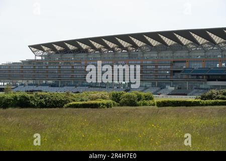 Ascot, Berkshire, Großbritannien. 28. Mai 2023. Ein Paradies für Wildtiere mit langem Gras und wilden Blumen auf der Heide in Ascot mit Blick auf die Ascot Grandstand. Nur noch 22 Tage bis zum Royal Ascot sind die Vorbereitungen auf der Ascot Rennbahn für Royal Ascot im nächsten Monat gut angelaufen. Der Gesamtpreis von Ascot für Royal Ascot in diesem Jahr beläuft sich auf 9.520.000 Pfund. Dies ist das erste Jahr im Royal Ascot seit dem Tod der verstorbenen Königin Elizabeth II Kredit: Maureen McLean/Alamy Live News Stockfoto