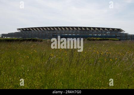 Ascot, Berkshire, Großbritannien. 28. Mai 2023. Ein Paradies für Wildtiere mit langem Gras und wilden Blumen auf der Heide in Ascot mit Blick auf die Ascot Grandstand. Nur noch 22 Tage bis zum Royal Ascot sind die Vorbereitungen auf der Ascot Rennbahn für Royal Ascot im nächsten Monat gut angelaufen. Der Gesamtpreis von Ascot für Royal Ascot in diesem Jahr beläuft sich auf 9.520.000 Pfund. Dies ist das erste Jahr im Royal Ascot seit dem Tod der verstorbenen Königin Elizabeth II Kredit: Maureen McLean/Alamy Live News Stockfoto