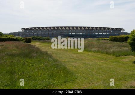 Ascot, Berkshire, Großbritannien. 28. Mai 2023. Ein Paradies für Wildtiere mit langem Gras und wilden Blumen auf der Heide in Ascot mit Blick auf die Ascot Grandstand. Nur noch 22 Tage bis zum Royal Ascot sind die Vorbereitungen auf der Ascot Rennbahn für Royal Ascot im nächsten Monat gut angelaufen. Der Gesamtpreis von Ascot für Royal Ascot in diesem Jahr beläuft sich auf 9.520.000 Pfund. Dies ist das erste Jahr im Royal Ascot seit dem Tod der verstorbenen Königin Elizabeth II Kredit: Maureen McLean/Alamy Live News Stockfoto