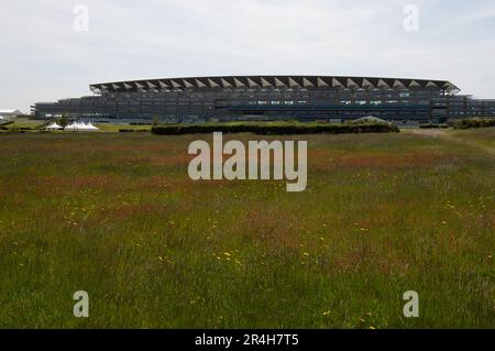 Ascot, Berkshire, Großbritannien. 28. Mai 2023. Ein Paradies für Wildtiere mit langem Gras und wilden Blumen auf der Heide in Ascot mit Blick auf die Ascot Grandstand. Nur noch 22 Tage bis zum Royal Ascot sind die Vorbereitungen auf der Ascot Rennbahn für Royal Ascot im nächsten Monat gut angelaufen. Der Gesamtpreis von Ascot für Royal Ascot in diesem Jahr beläuft sich auf 9.520.000 Pfund. Dies ist das erste Jahr im Royal Ascot seit dem Tod der verstorbenen Königin Elizabeth II Kredit: Maureen McLean/Alamy Live News Stockfoto