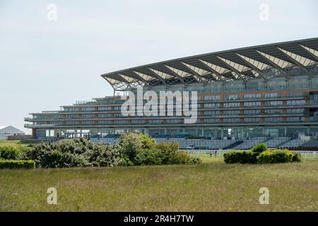 Ascot, Berkshire, Großbritannien. 28. Mai 2023. Ein Paradies für Wildtiere mit langem Gras und wilden Blumen auf der Heide in Ascot mit Blick auf die Ascot Grandstand. Nur noch 22 Tage bis zum Royal Ascot sind die Vorbereitungen auf der Ascot Rennbahn für Royal Ascot im nächsten Monat gut angelaufen. Der Gesamtpreis von Ascot für Royal Ascot in diesem Jahr beläuft sich auf 9.520.000 Pfund. Dies ist das erste Jahr im Royal Ascot seit dem Tod der verstorbenen Königin Elizabeth II Kredit: Maureen McLean/Alamy Live News Stockfoto
