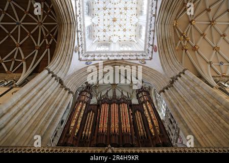 Grand Organ Pipes und Central Tower von Transcept, York Minster, Minster Yard, York, North Yorkshire, England, Großbritannien, Großbritannien, Europa Stockfoto