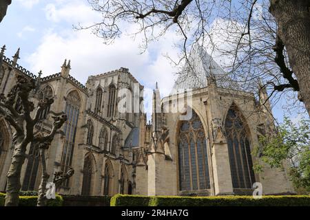 North Facade und Chapter House, York Minster, Minster Yard, York, North Yorkshire, England, Großbritannien, Großbritannien, Großbritannien, Großbritannien, Europa Stockfoto