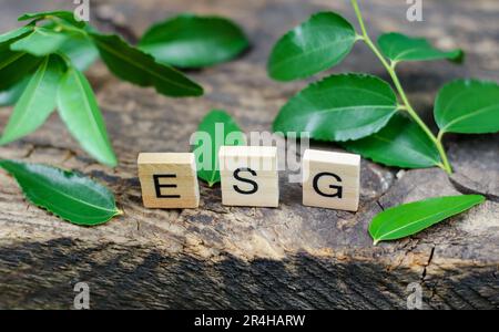 Umweltsozialmanagement. ESG-Abkürzung auf Holzwürfeln, auf Münzen, die von grünen Blättern eingerahmt sind. Stockfoto