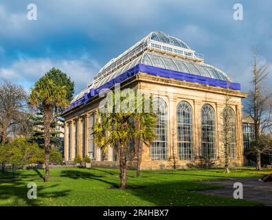 Viktrianisches Glashaus mit einer Schleife zum Feiern, Royal Botanic Gardens, Edinburgh, Schottland, Großbritannien Stockfoto