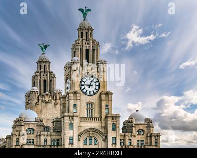 Nahaufnahme der Uhrtürme des Royal Lebergebäudes mit kormoranten Lebervögel und den größten Uhren Großbritanniens, Pier Head, Liverpool, England, Großbritannien Stockfoto