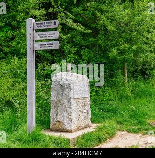 Offizielle und oft umstrittene Quelle der Themse in der Nähe von Kemble in Wiltshire, Großbritannien, gekennzeichnet durch Granitstein und -Plakette Stockfoto