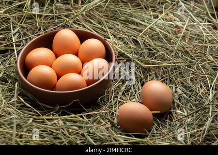 Hausgemachte Hühnereier auf einer Tonplatte auf Stroh. Stockfoto
