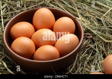 Hausgemachte Hühnereier auf einer Tonplatte auf Stroh. Stockfoto