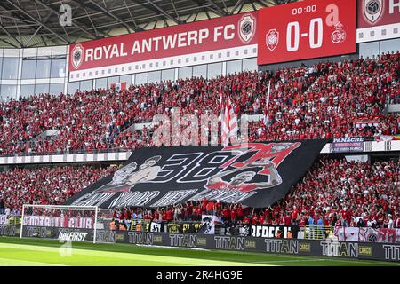 Antwerpen, Belgien. 28. Mai 2023. Antwerpens Fans bildeten vor einem Fußballspiel zwischen dem Royal Antwerpen FC RAFC und der Royale Union Saint-Gilloise am Sonntag, den 28. Mai 2023 in Antwerpen, am 5. Tag der Spiele der Champions in der ersten Liga der „Jupiler Pro League“ der belgischen Meisterschaft. BELGA FOTO TOM GOYVAERTS Kredit: Belga News Agency/Alamy Live News Stockfoto