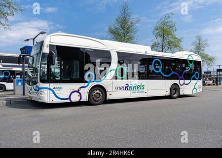 SnelRReis BYD-Elektrobus am Busbahnhof Zwolle Centraal Stockfoto