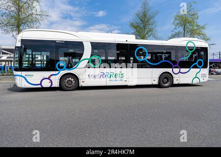 SnelRReis BYD-Elektrobus am Busbahnhof Zwolle Centraal Stockfoto